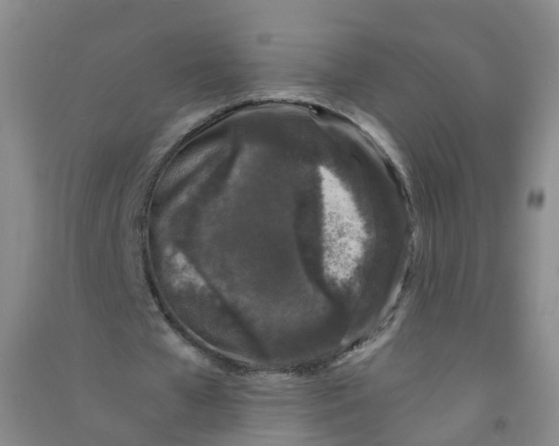 X0000090920577200708201808