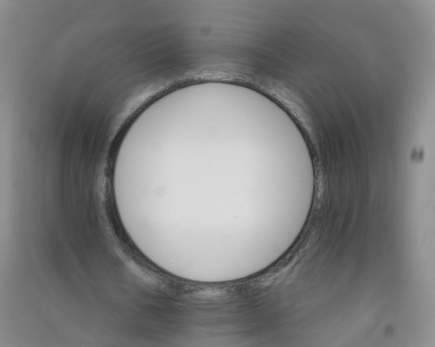 X0000090920578200708201808