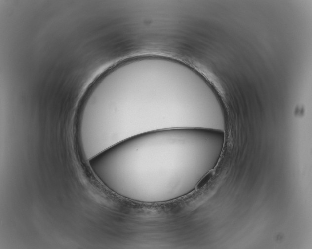 X0000090920580200708201808