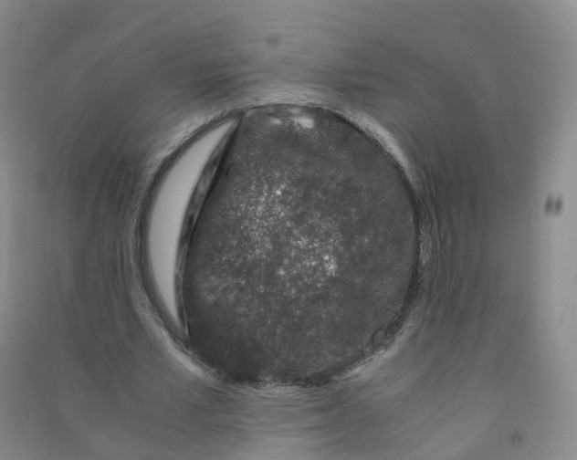 X0000090920581200708201808