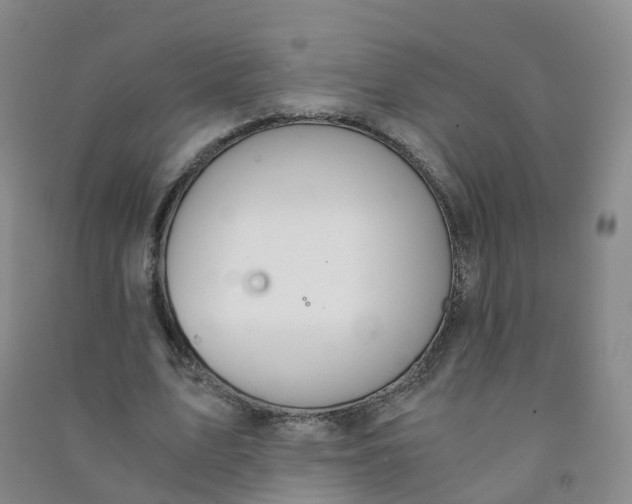 X0000090920583200708201808