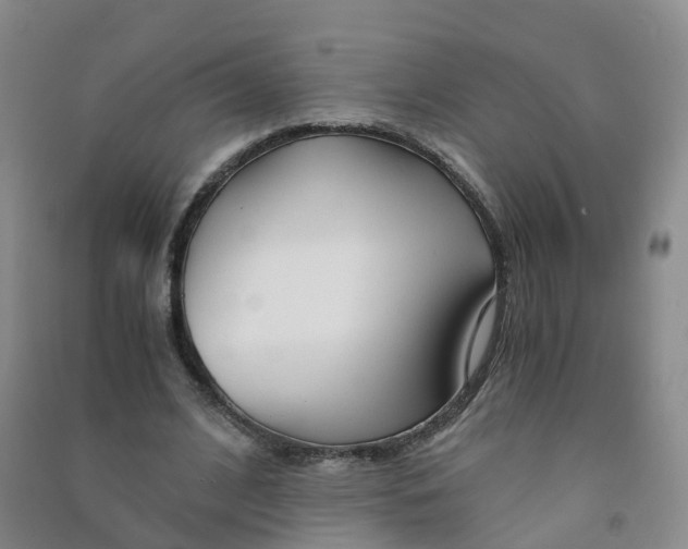 X0000090920584200708201808