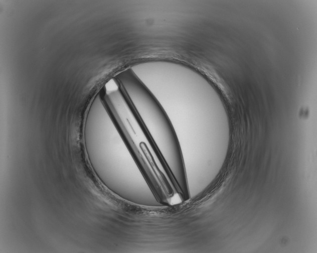 X0000090920585200708201808