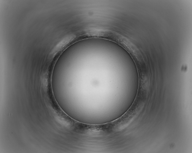 X0000090920586200708201808