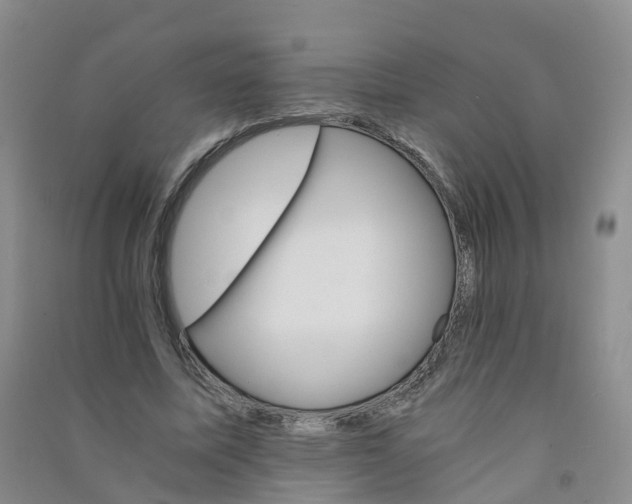 X0000090920587200708201808