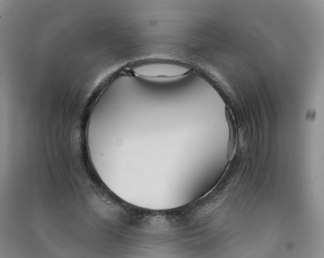 X0000090920588200708201808