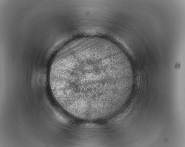 X0000090920590200708201808