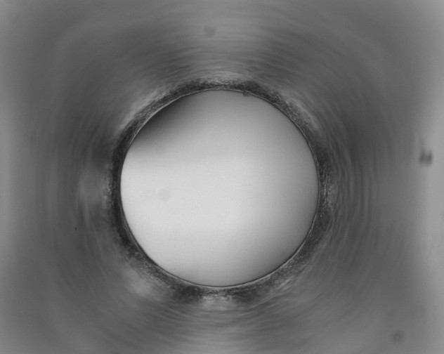 X0000090920591200708201808