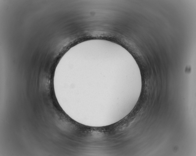 X0000090920592200708201808