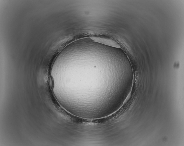 X0000090920593200708201808