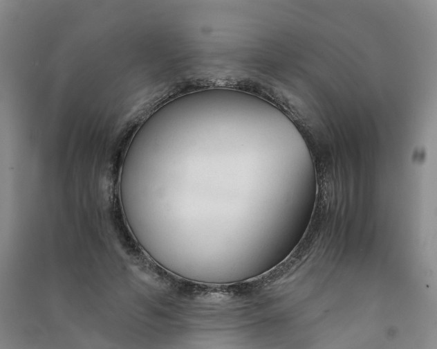 X0000090920594200708201808