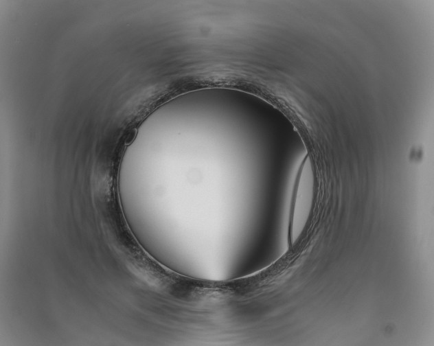 X0000090920597200708201808