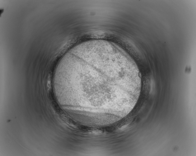 X0000090920598200708201808