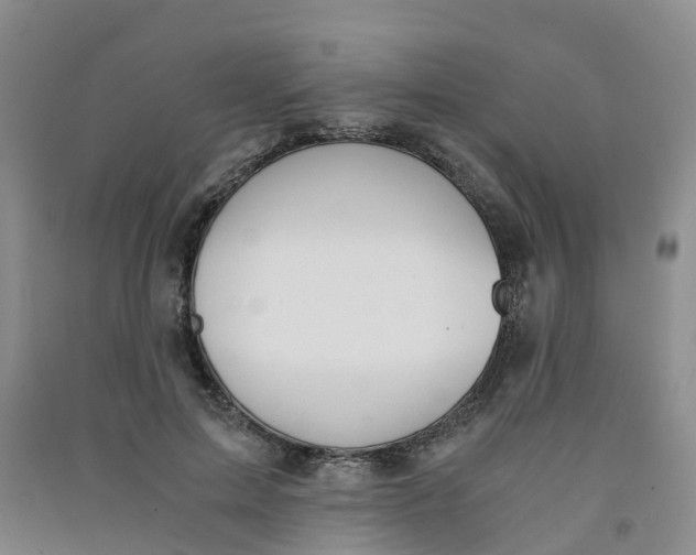 X0000090920599200708201808