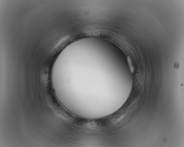 X0000090920600200708201808