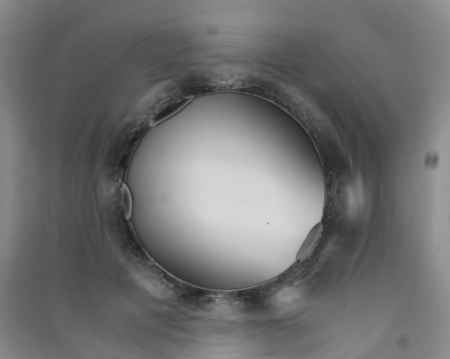 X0000090920601200708201808