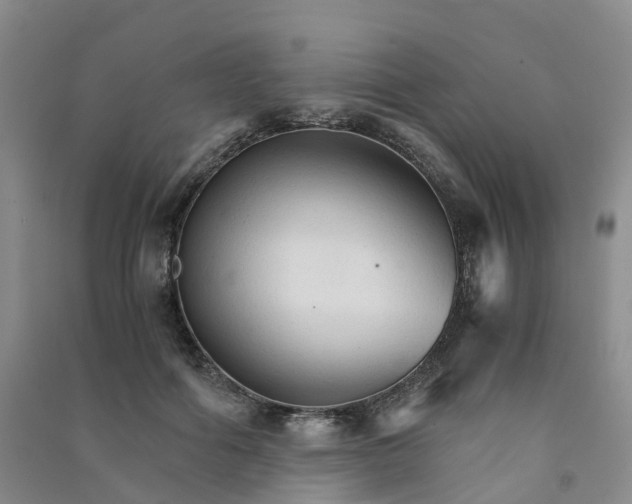 X0000090920602200708201808