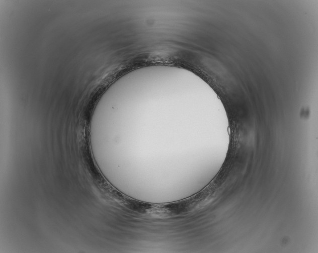 X0000090920603200708201808