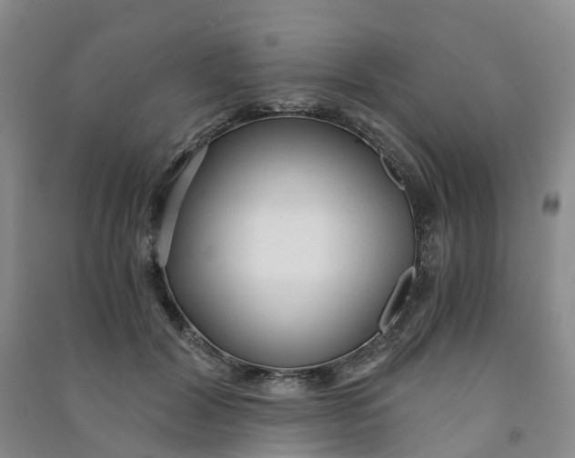 X0000090920604200708201808