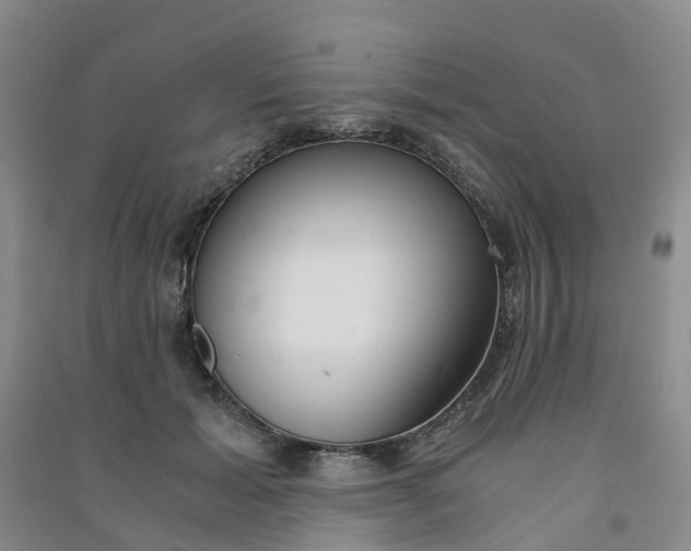 X0000090920605200708201808