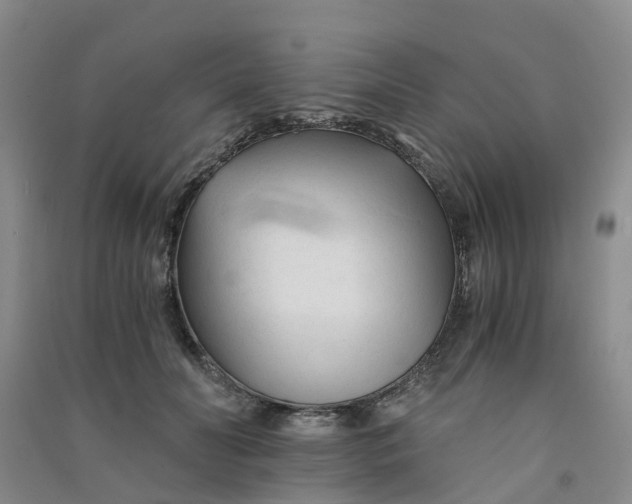 X0000090920606200708201808