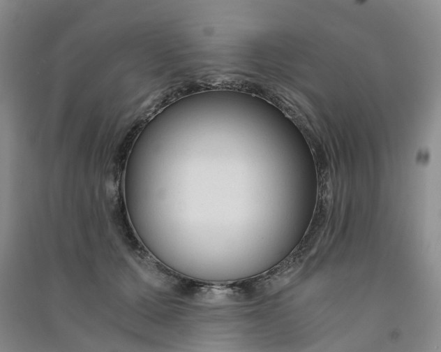 X0000090920607200708201808