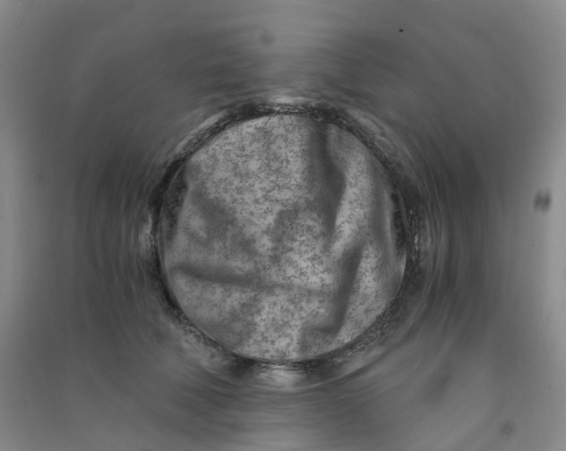 X0000090920610200708201808