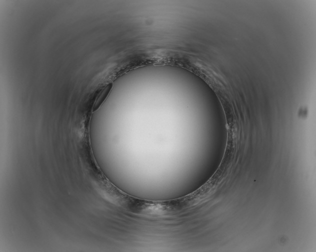 X0000090920611200708201808