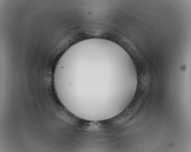 X0000090920612200708201808