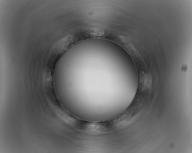 X0000090920614200708201807