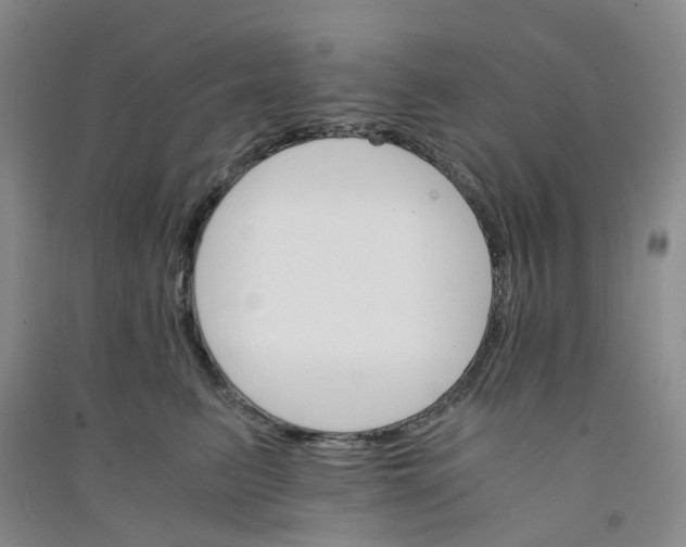 X0000090920615200708201807