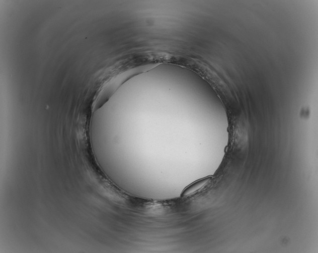 X0000090920616200708201807