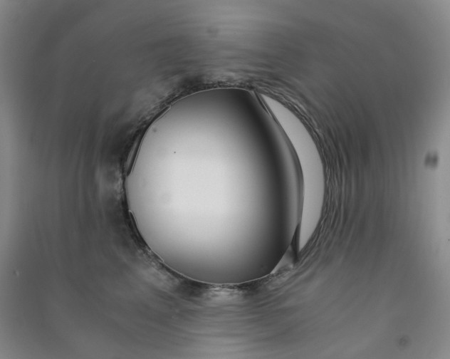 X0000090920617200708201807