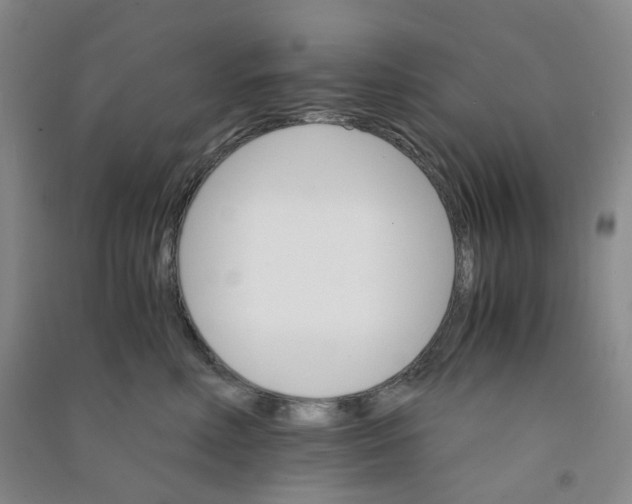 X0000090920618200708201807