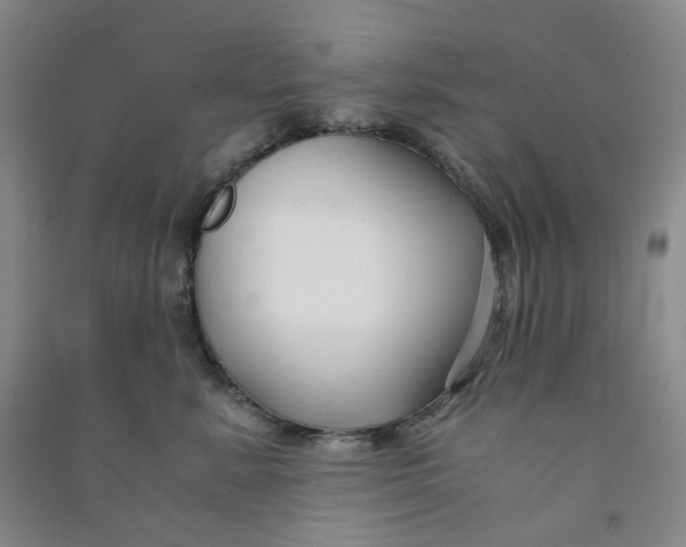 X0000090920619200708201807