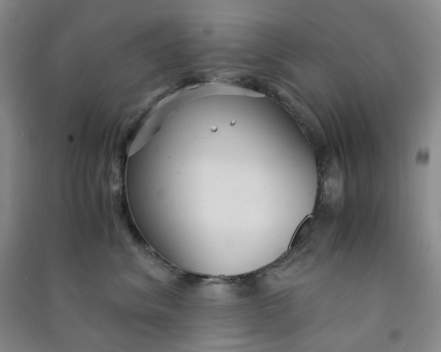 X0000090920620200708201807