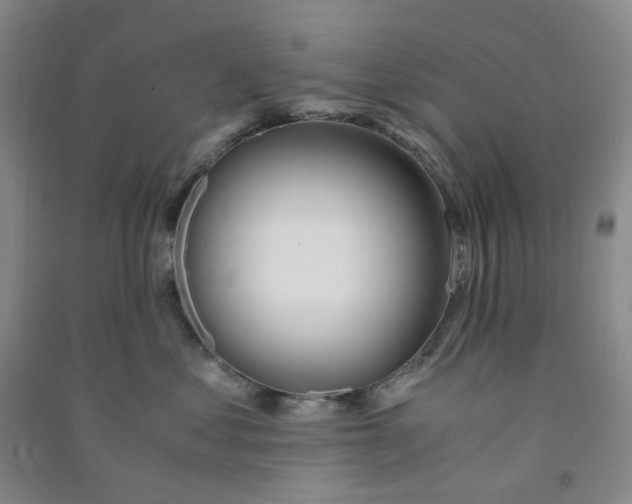 X0000090920621200708201807