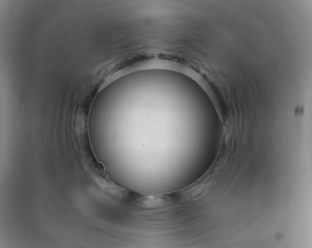 X0000090920623200708201807