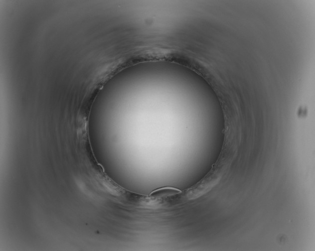 X0000090920624200708201807