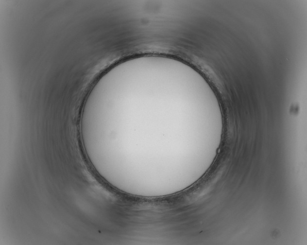 X0000090920625200708201807