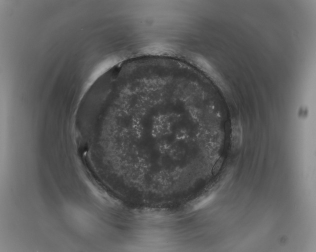 X0000090920626200708201807