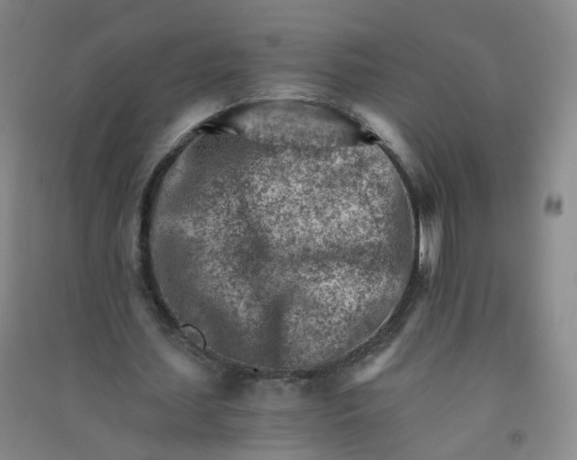 X0000090920627200708201807