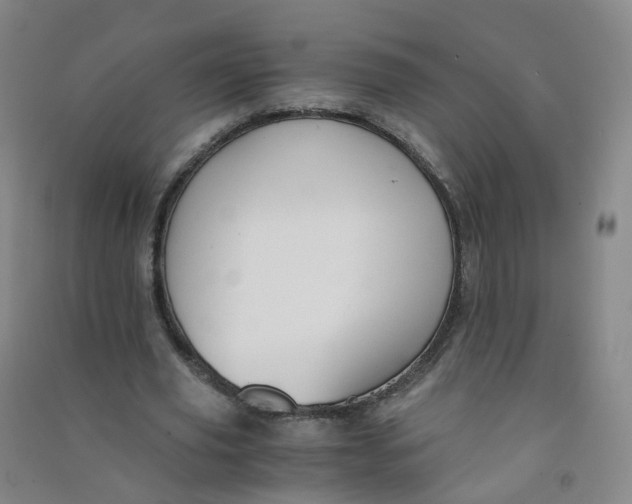 X0000090920629200708201807