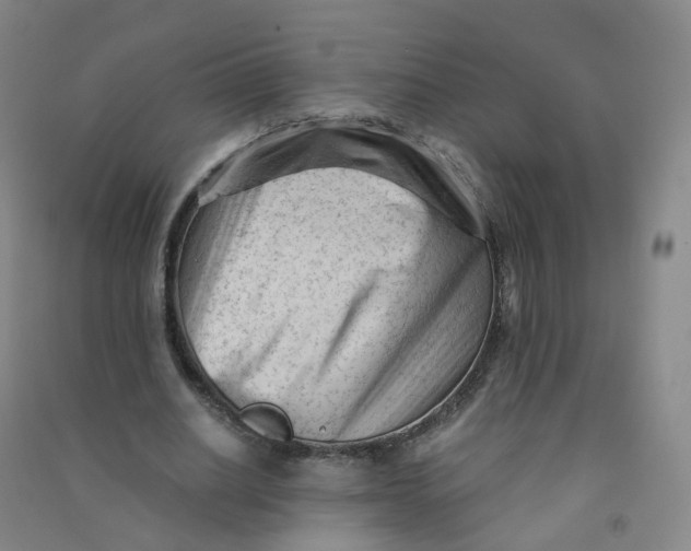 X0000090920630200708201807