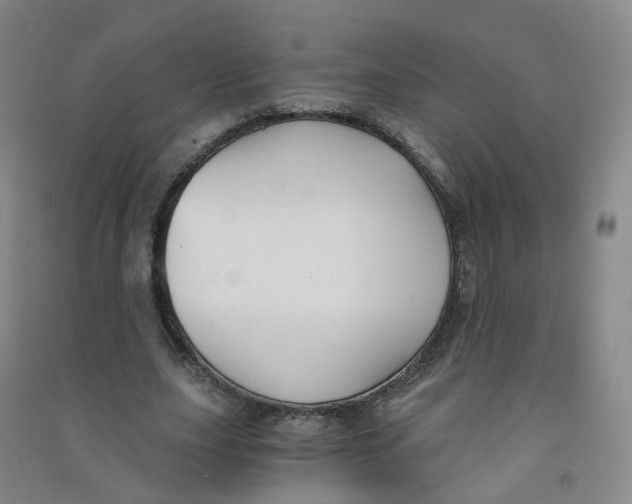 X0000090920631200708201807