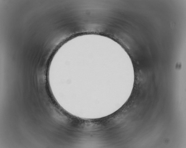 X0000090920632200708201807