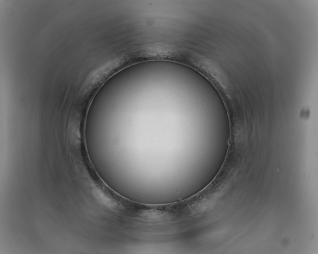 X0000090920633200708201807