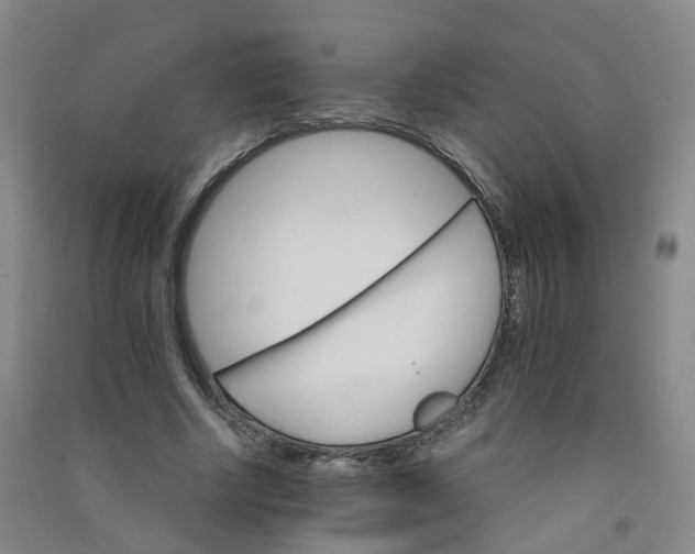 X0000090920634200708201807