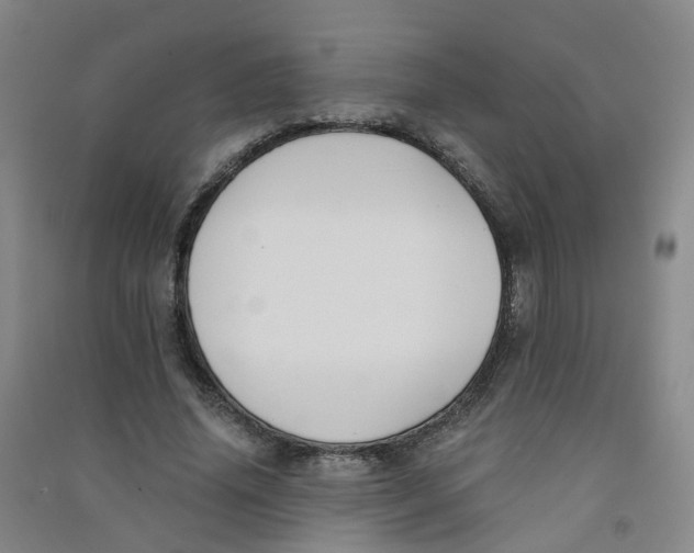 X0000090920636200708201807