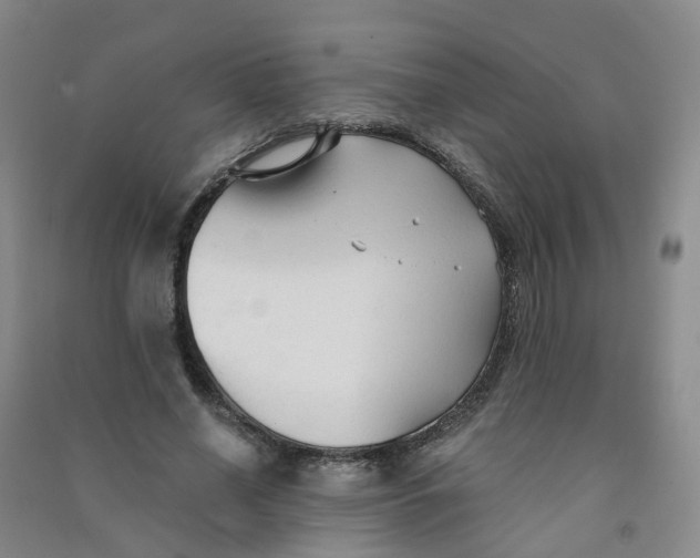 X0000090920638200708201807